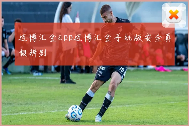 迈博汇金app迈博汇金手机版安全真假辨别