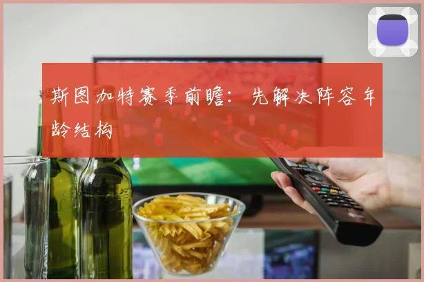 斯图加特赛季前瞻:先解决阵容年龄结构