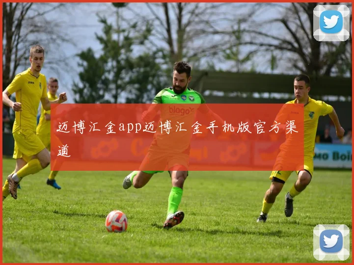 迈博汇金app迈博汇金手机版官方渠道