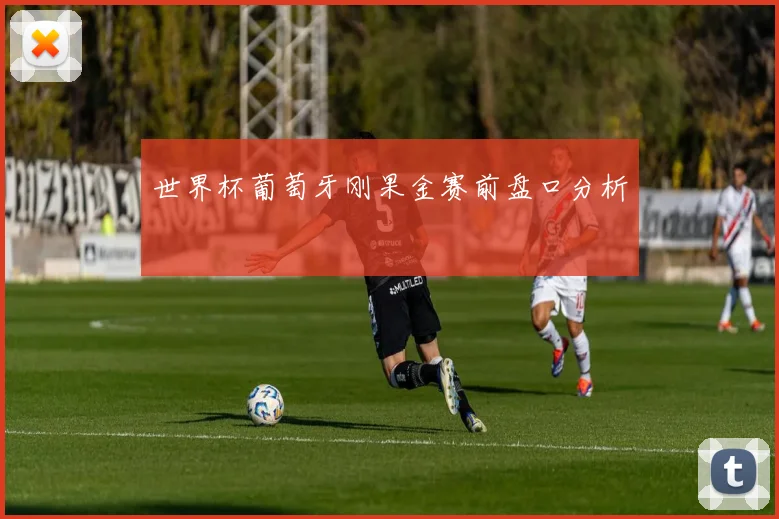 世界杯葡萄牙刚果金赛前盘口分析