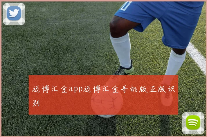 迈博汇金app迈博汇金手机版正版识别