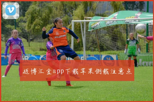 迈博汇金app下载苹果侧载注意点