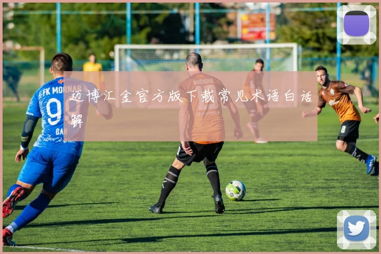 迈博汇金官方版下载常见术语白话解